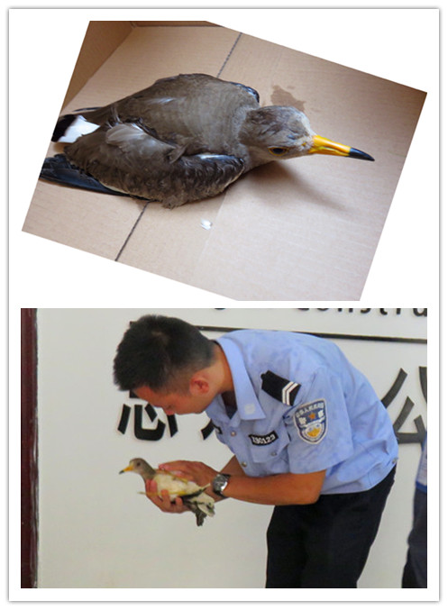 首页|ng电子游戏中国集团官方网站