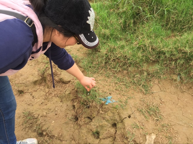 首页|ng电子游戏中国集团官方网站