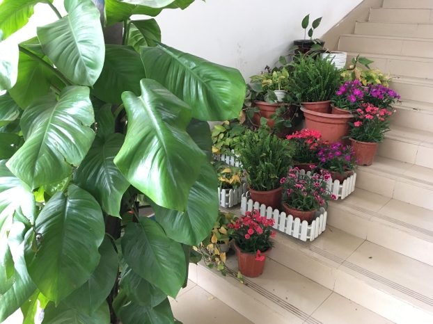 首页|ng电子游戏中国集团官方网站