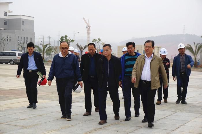 5.吴锡熹一行在项目完工区举行实地观察。谢微旋 摄700.jpg