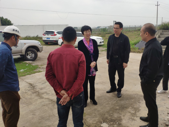 11辛红梅视察项目。梁荣程 摄700.png