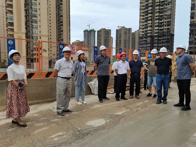 调研现场。彭永彬 摄（修图）.jpg