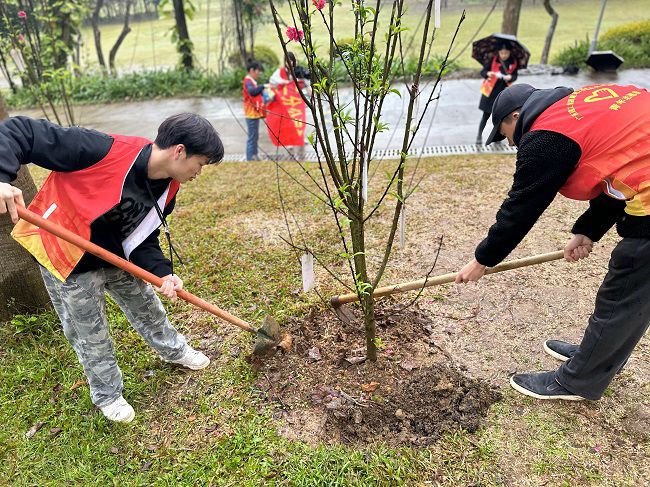 为树苗松土固基！！Ｖ莒洗 摄（修图）.jpg